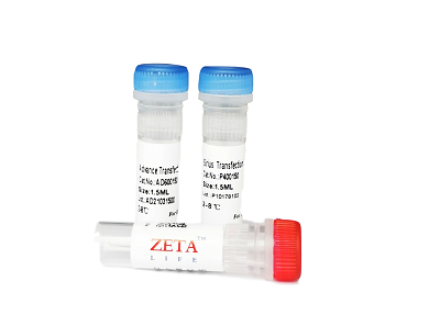 Advanced DNA RNA Transfection Reagent AD600025